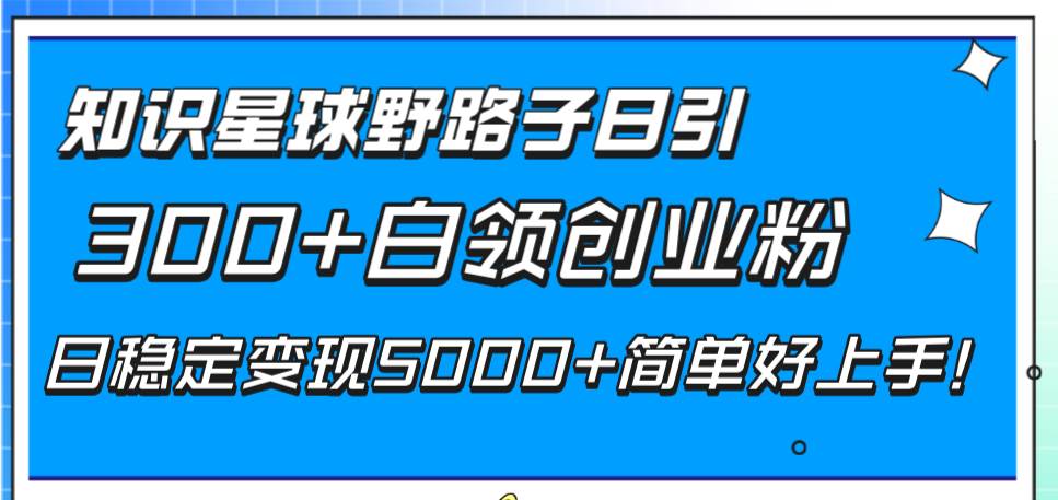 知识星球野路子日引300+白领创业粉，日稳定变现5000+简单好上手！-飞秋社