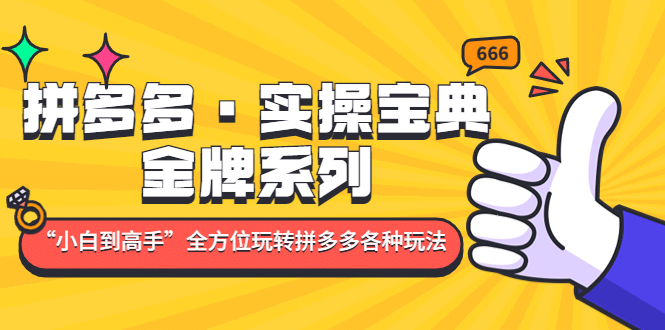 拼多多·实操宝典：金牌系列“小白到高手”带你全方位玩转拼多多各种玩法-飞秋社