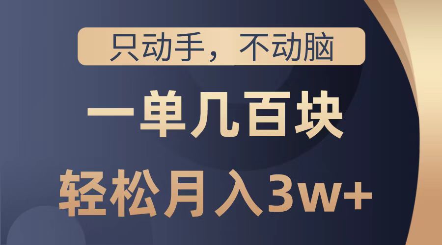 只动手不动脑，一单几百块，轻松月入2w+，看完就能直接操作，详细教程-飞秋社