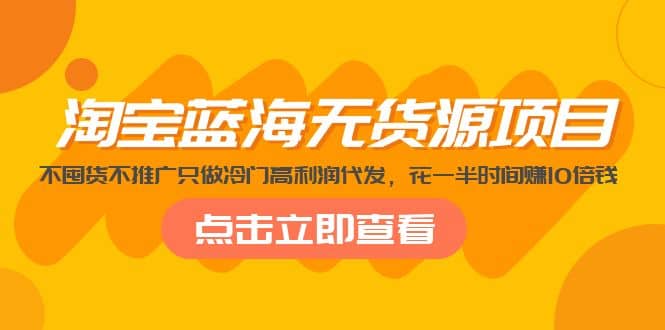 淘宝蓝海无货源项目，不囤货不推广只做冷门高利润代发-飞秋社