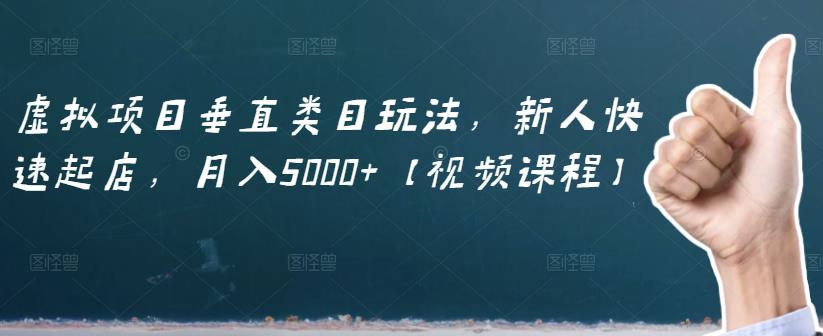 虚拟项目垂直类目玩法，新人快速起店，月入5000+【视频课程】-飞秋社