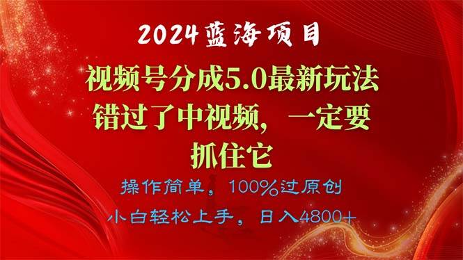 2024蓝海项目，视频号分成计划5.0最新玩法，错过了中视频，一定要抓住…-飞秋社