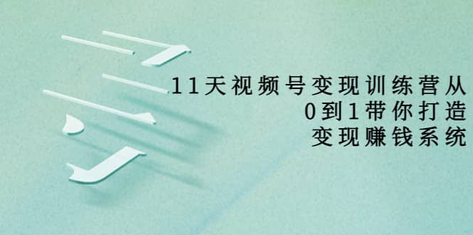 好望角·11天视频号变现训练营，从0到1打造变现赚钱系统（价值398）-飞秋社