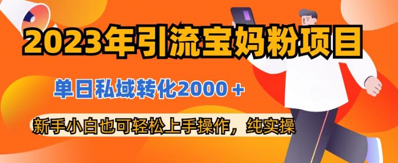 2023年引流宝妈粉项目，单日私域转化2000＋，新手小白也可轻松上手操作，纯实操-飞秋社