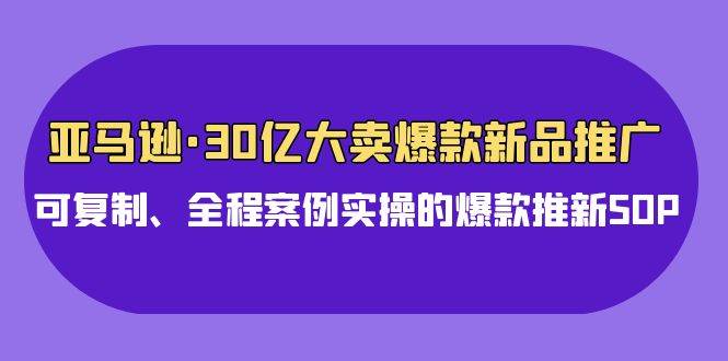 亚马逊30亿·大卖爆款新品推广，可复制、全程案例实操的爆款推新SOP-飞秋社