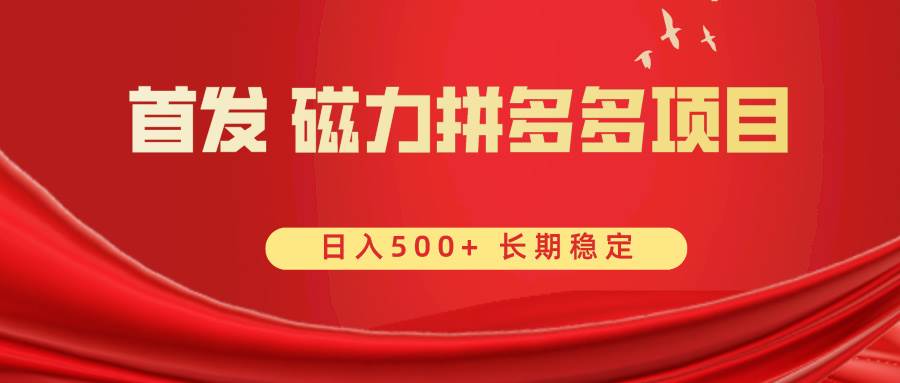 首发 磁力拼多多自撸  日入500+-飞秋社