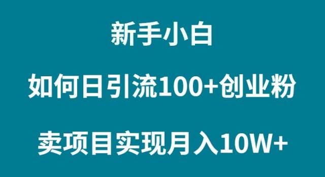 新手小白如何通过卖项目实现月入10W+-飞秋社