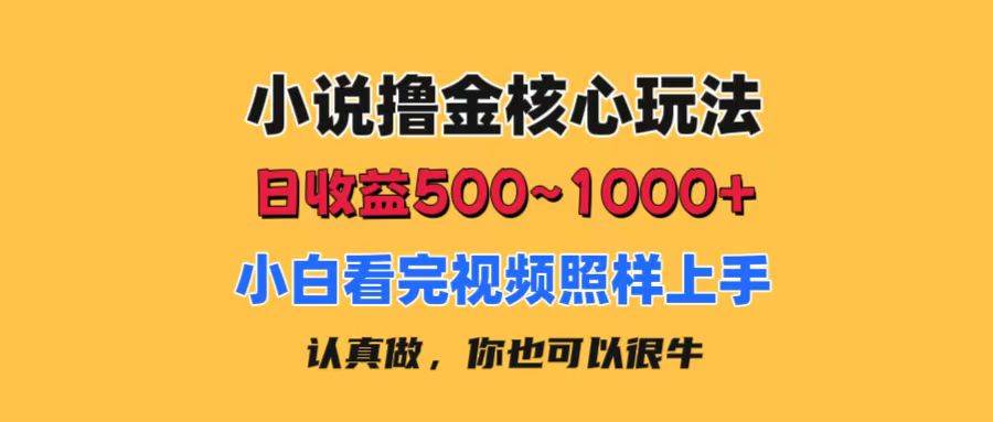 小说撸金核心玩法，日收益500-1000+，小白看完照样上手，0成本有手就行-飞秋社