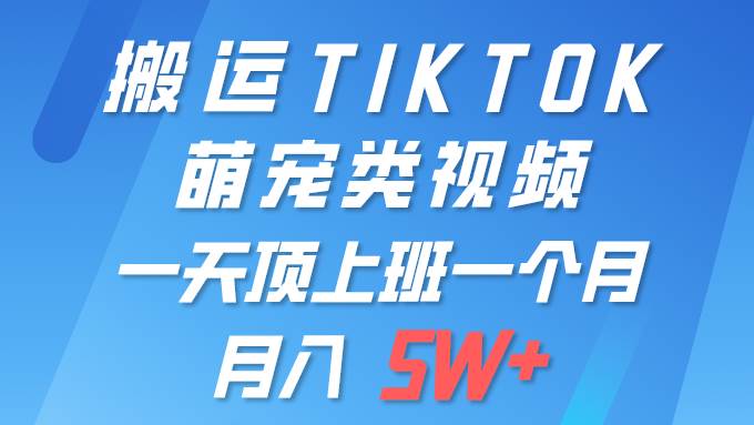 一键搬运TIKTOK萌宠类视频 一部手机即可操作 所有平台均可发布 轻松月入5W+-飞秋社