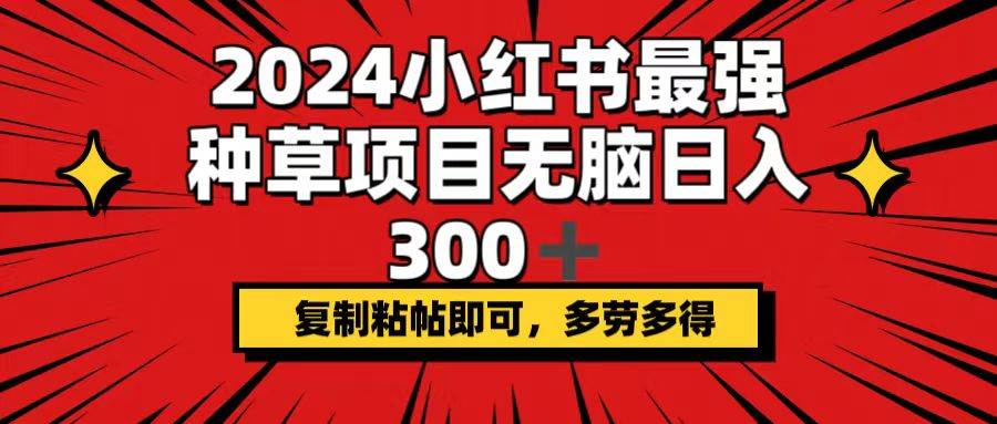 2024小红书最强种草项目，无脑日入300+，复制粘帖即可，多劳多得-飞秋社