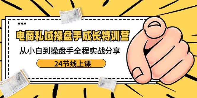 电商私域-操盘手成长特训营：从小白到操盘手全程实战分享-24节线上课-飞秋社