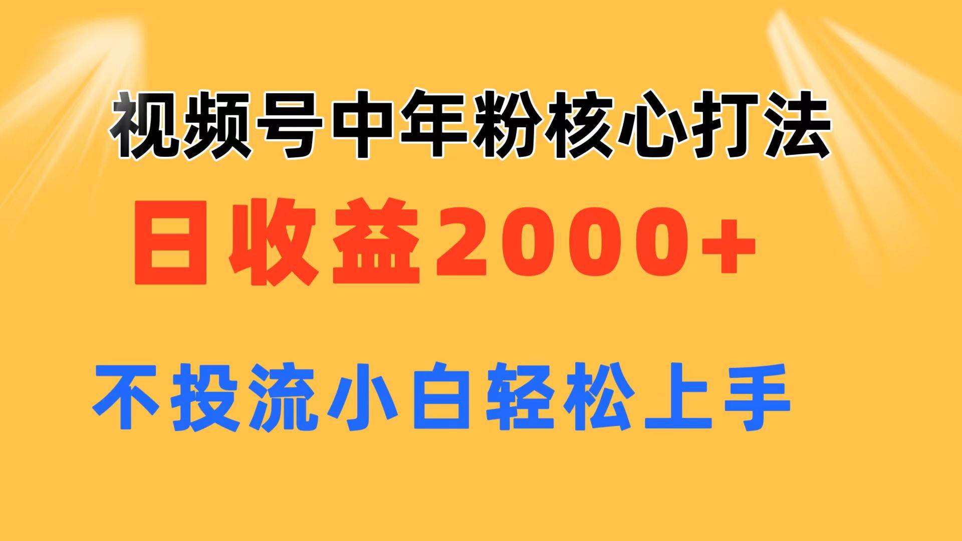 视频号中年粉核心玩法 日收益2000+ 不投流小白轻松上手-飞秋社