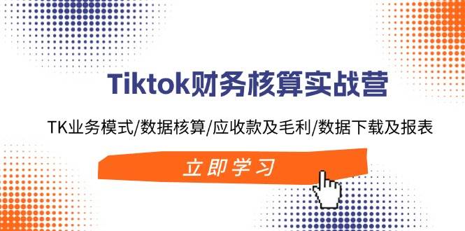 Tiktok财务核算实战营：TK业务模式/数据核算/应收款及毛利/数据下载及报表-飞秋社