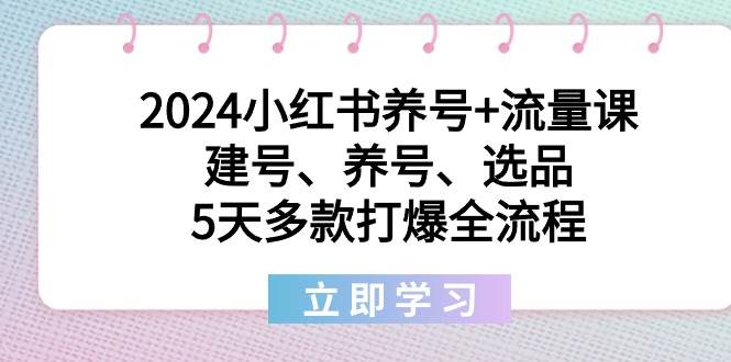 2024小红书养号+流量课：建号、养号、选品，5天多款打爆全流程-飞秋社