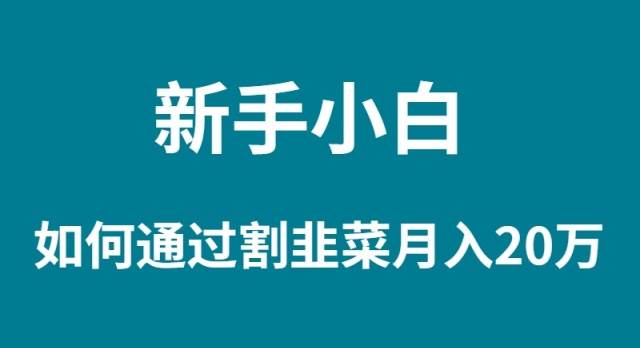 新手小白如何通过割韭菜月入 20W-飞秋社