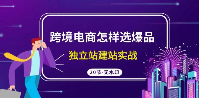 跨境电商怎样选爆品，独立站建站实战（20节高清无水印课）-飞秋社