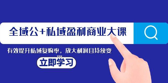 全域公+私域盈利商业大课，有效提升私域复购率，放大利润且持续变现-飞秋社