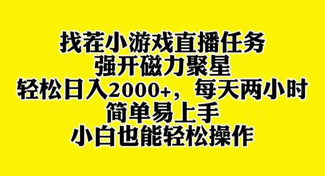 找茬小游戏直播，强开磁力聚星，轻松日入2000+，小白也能轻松上手-飞秋社