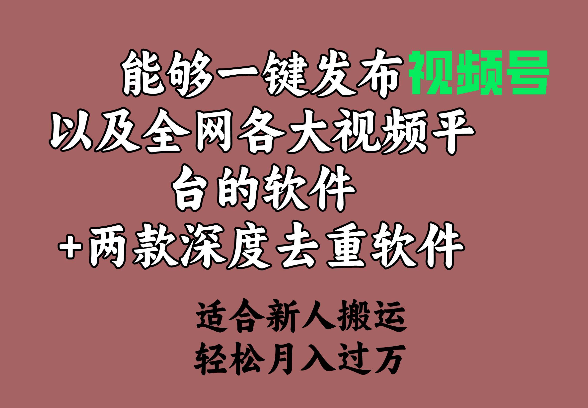 能够一键发布视频号以及全网各大视频平台的软件+两款深度去重软件 适合…-飞秋社