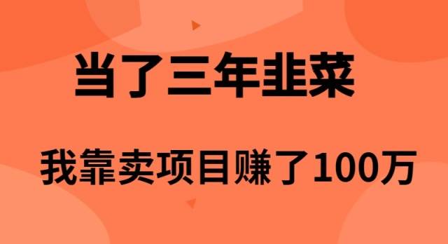 当了3年韭菜，我靠卖项目赚了100万-飞秋社