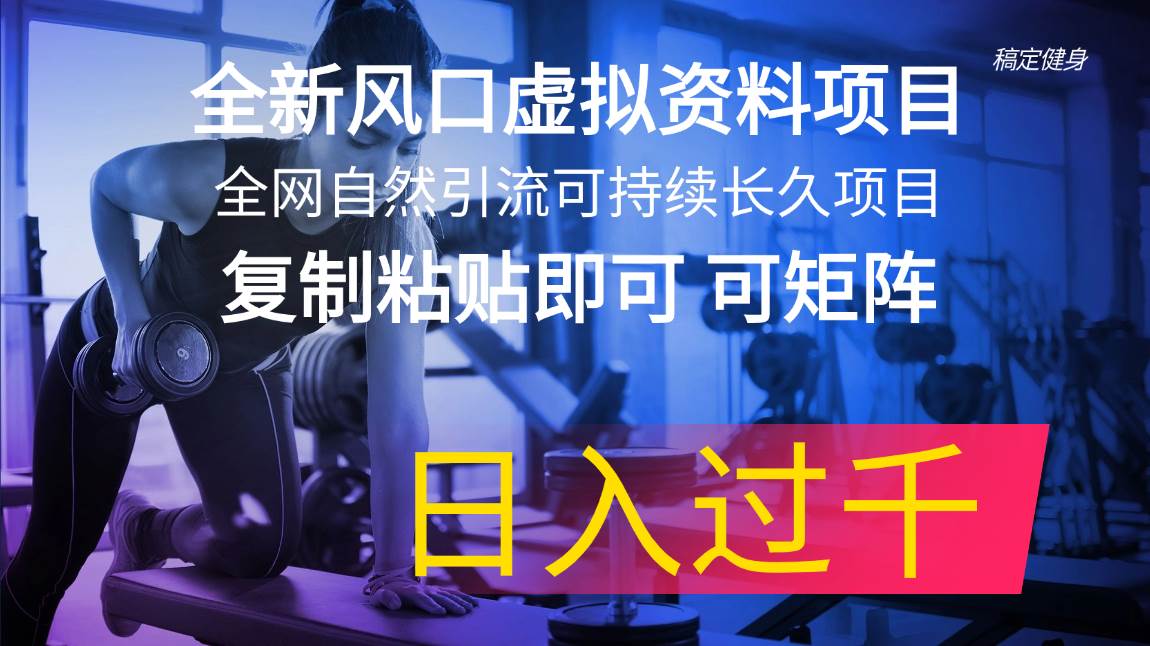 全新风口虚拟资料项目 全网自然引流可持续长久项目 复制粘贴即可可矩阵…-飞秋社