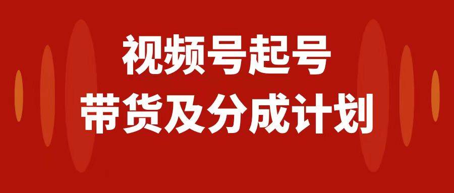 视频号快速起号，分成计划及带货，0-1起盘、运营、变现玩法，日入1000+-飞秋社