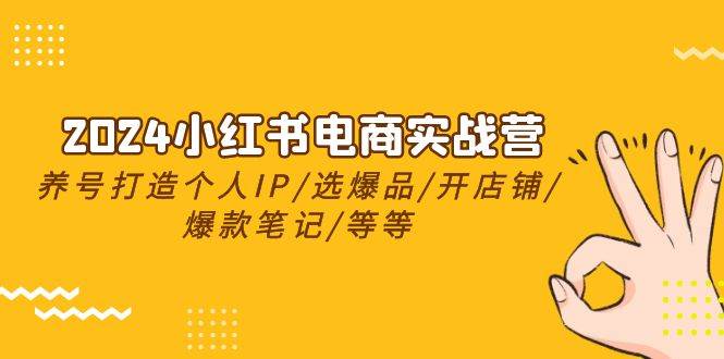 2024小红书电商实战营，养号打造IP/选爆品/开店铺/爆款笔记/等等（24节）-飞秋社