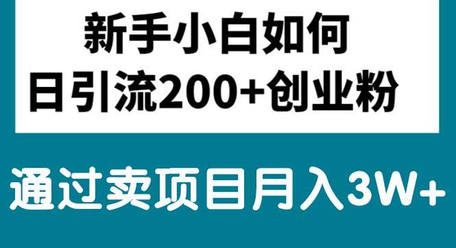 新手小白日引流200+创业粉,通过卖项目月入3W+-飞秋社