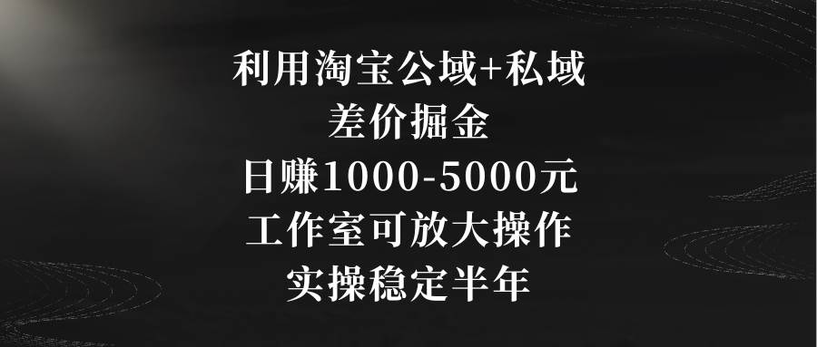 利用淘宝公域+私域差价掘金，日赚1000-5000元，工作室可放大操作，实操…-飞秋社