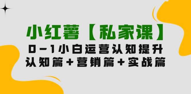 小红薯【私家课】0-1玩赚小红书内容营销，认知篇+营销篇+实战篇（11节课）-飞秋社