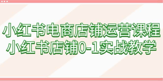 小红书电商店铺运营课程，小红书店铺0-1实战教学（60节课）-飞秋社