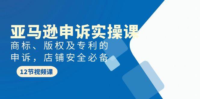 亚马逊-申诉实战课，商标、版权及专利的申诉，店铺安全必备-飞秋社