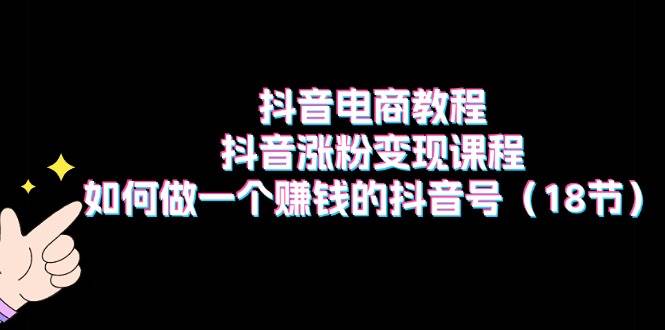 抖音电商教程：抖音涨粉变现课程：如何做一个赚钱的抖音号（18节）-飞秋社