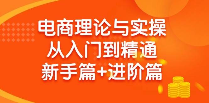 电商理论与实操从入门到精通 新手篇+进阶篇-飞秋社