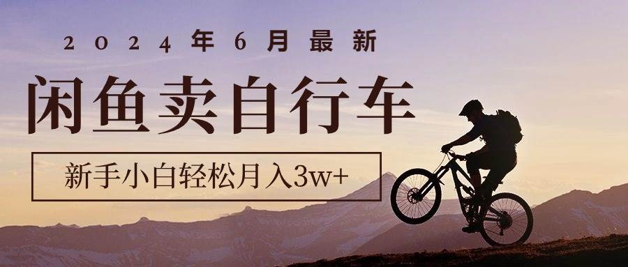 2024年6月最新闲鱼卖自行车，新手小白轻松月入3w+项目-飞秋社